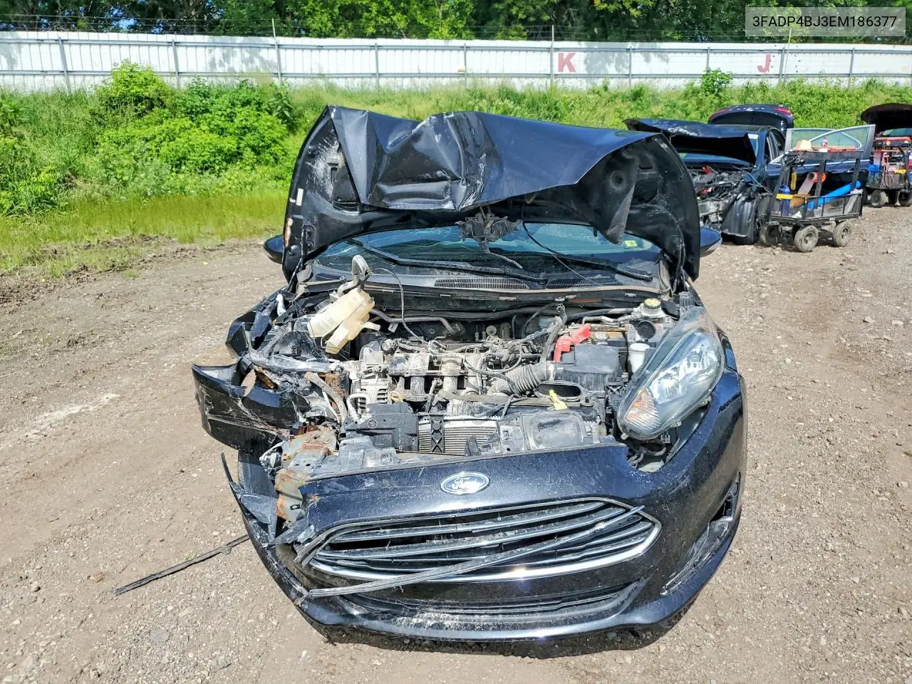 2014 Ford Fiesta Se VIN: 3FADP4BJ3EM186377 Lot: 56988516