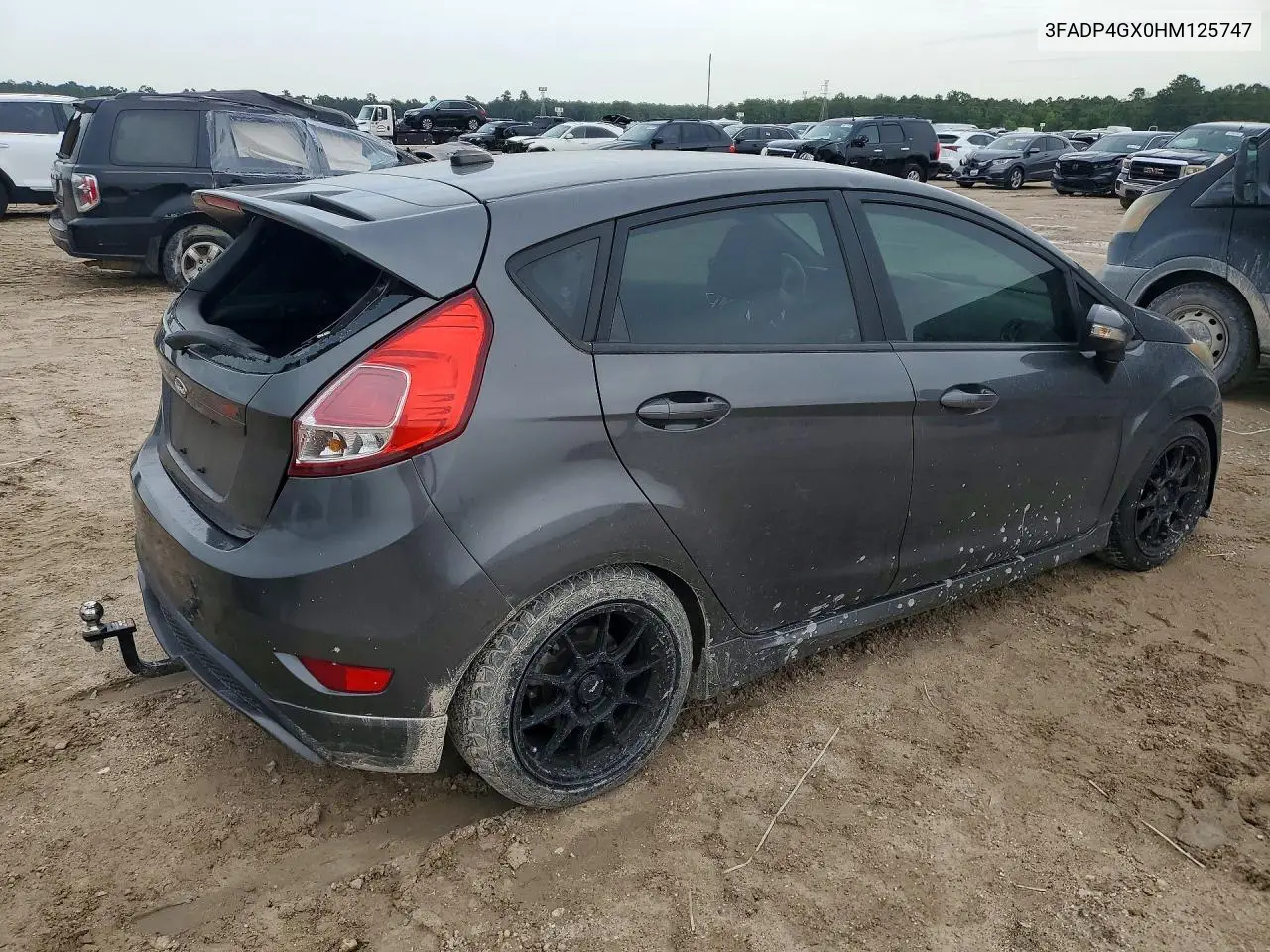 2017 Ford Fiesta St VIN: 3FADP4GX0HM125747 Lot: 61070976
