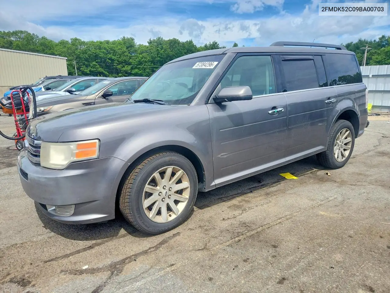 2009 Ford Flex Sel VIN: 2FMDK52C09BA00703 Lot: 57384296
