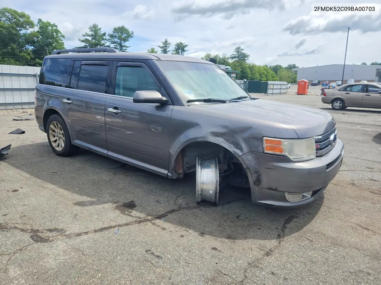 2009 Ford Flex Sel VIN: 2FMDK52C09BA00703 Lot: 57384296