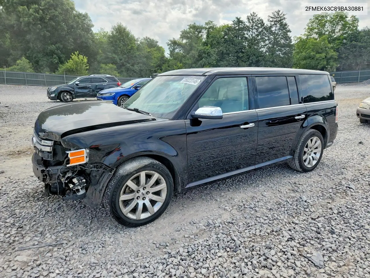 2009 Ford Flex Limited VIN: 2FMEK63C89BA30881 Lot: 59223146