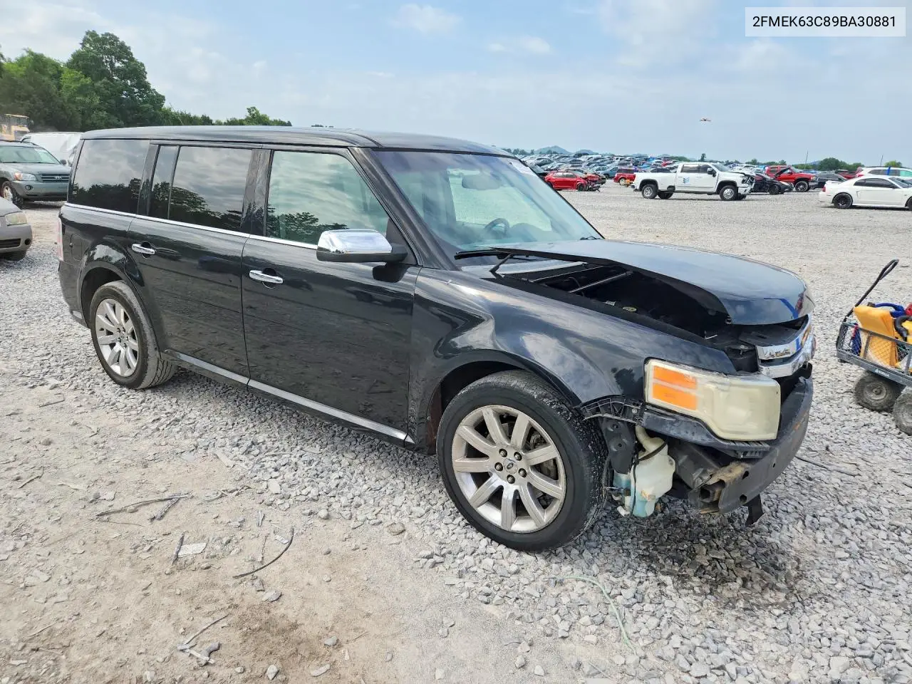 2009 Ford Flex Limited VIN: 2FMEK63C89BA30881 Lot: 59223146