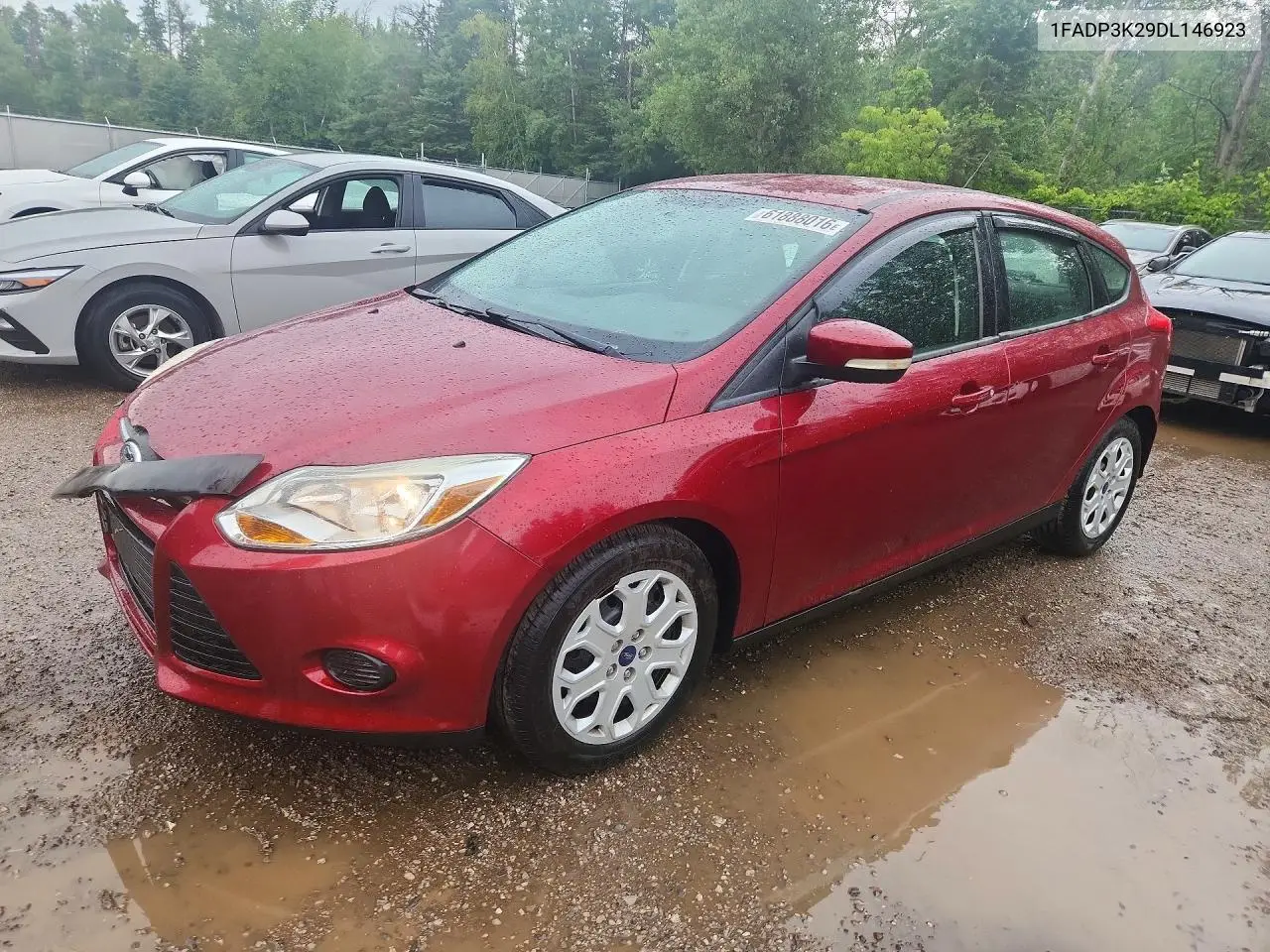 2013 Ford Focus Se VIN: 1FADP3K29DL146923 Lot: 61888016