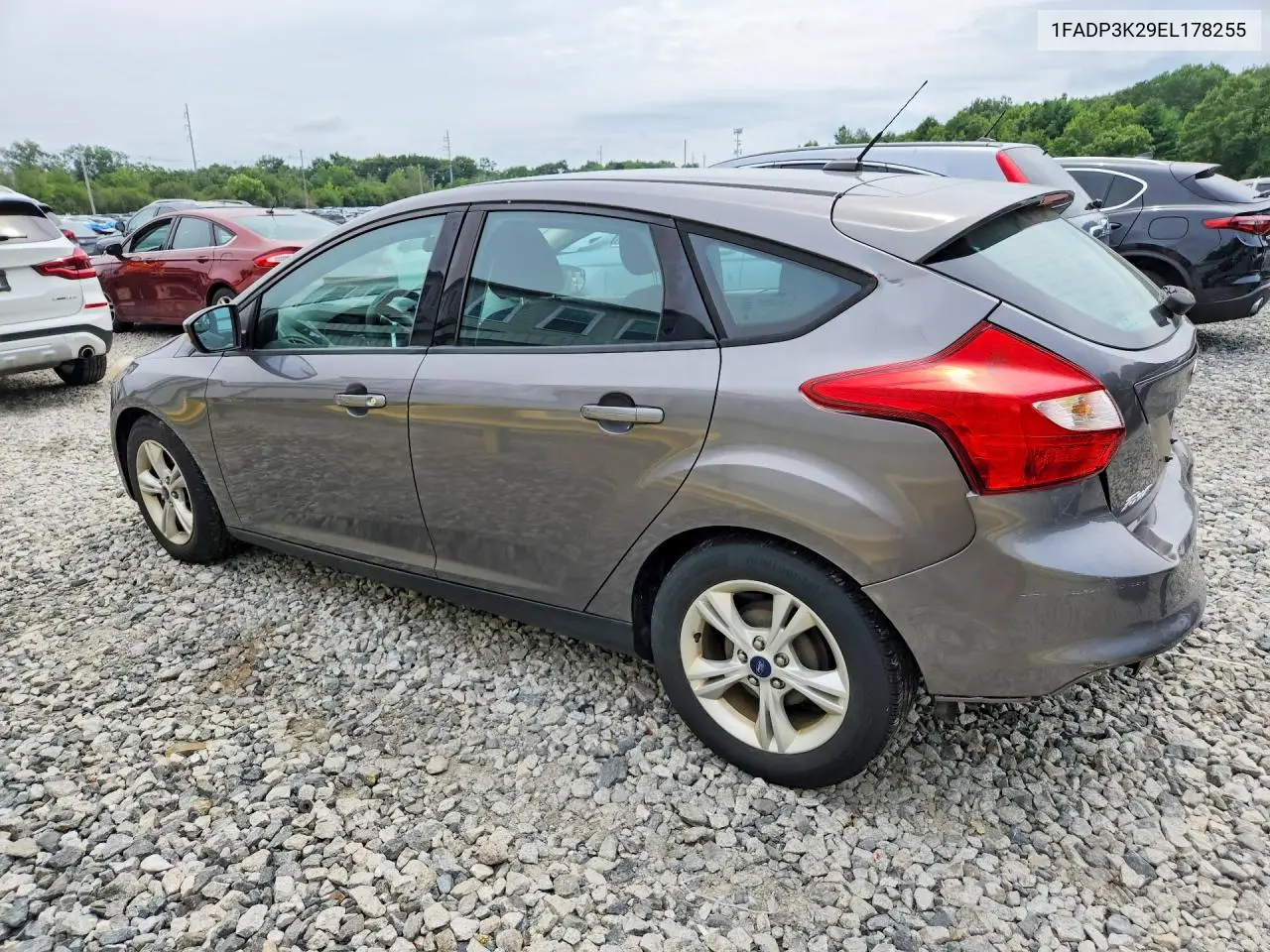 2014 Ford Focus Se VIN: 1FADP3K29EL178255 Lot: 61674436