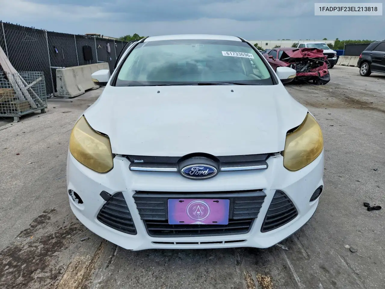 2014 Ford Focus Se VIN: 1FADP3F23EL213818 Lot: 61733696