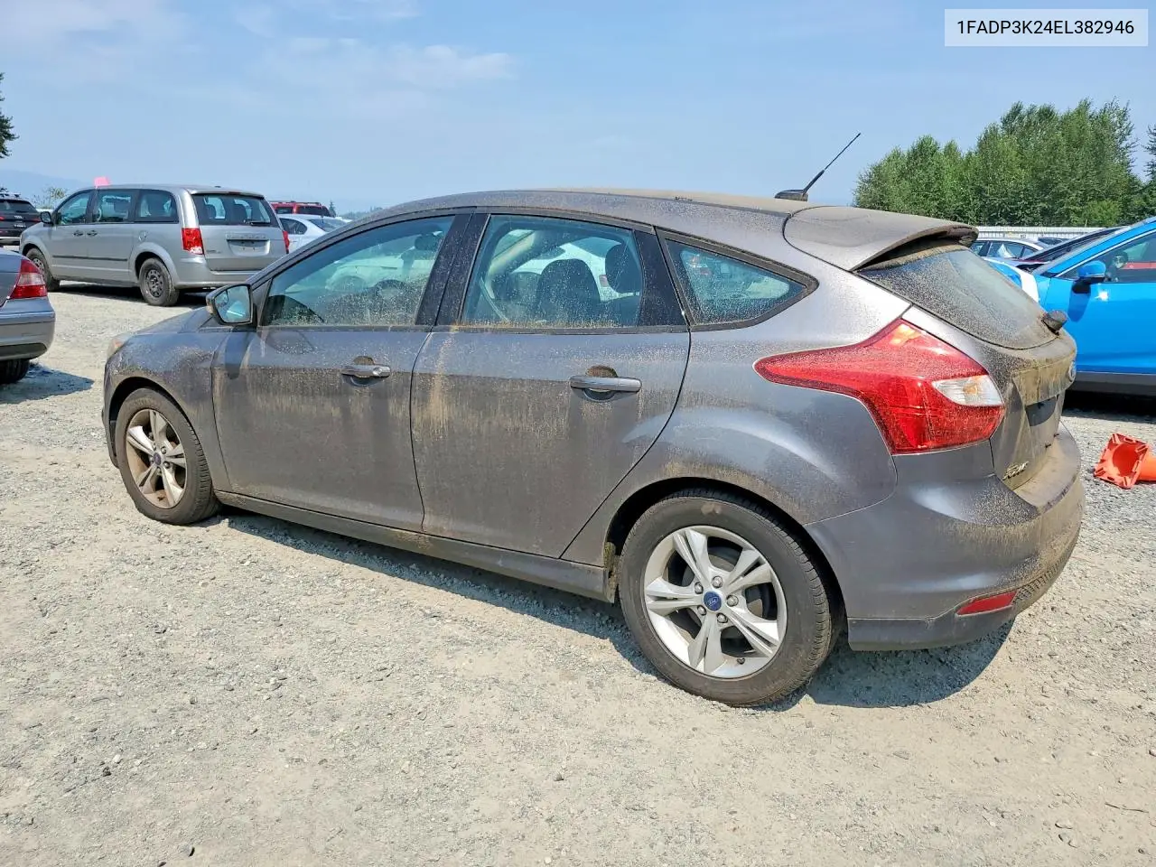 2014 Ford Focus Se VIN: 1FADP3K24EL382946 Lot: 62173176