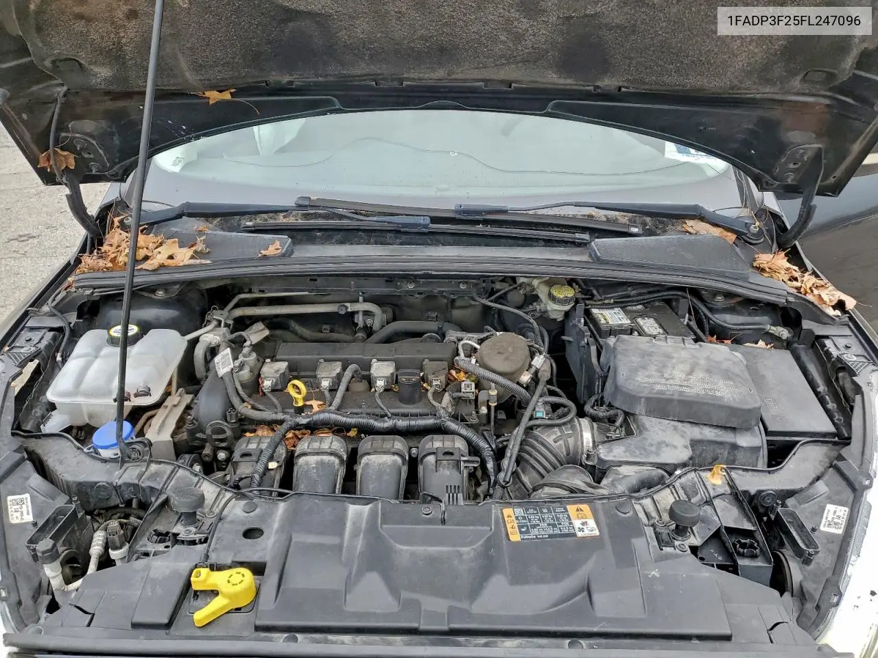 1FADP3F25FL247096 2015 Ford Focus Se