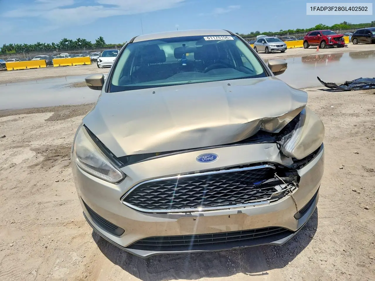 2016 Ford Focus Se VIN: 1FADP3F28GL402502 Lot: 61170156
