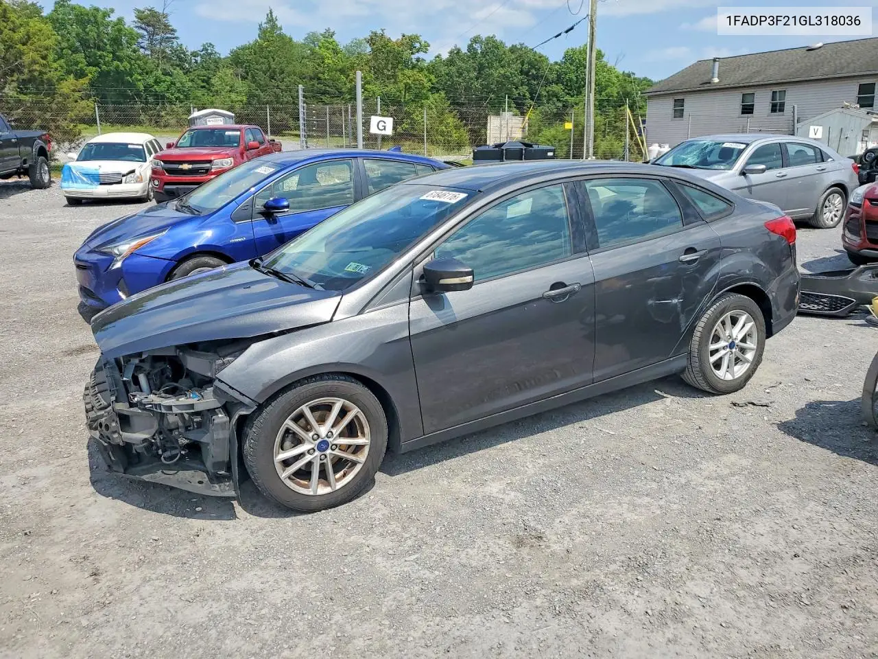 2016 Ford Focus Se VIN: 1FADP3F21GL318036 Lot: 61846116