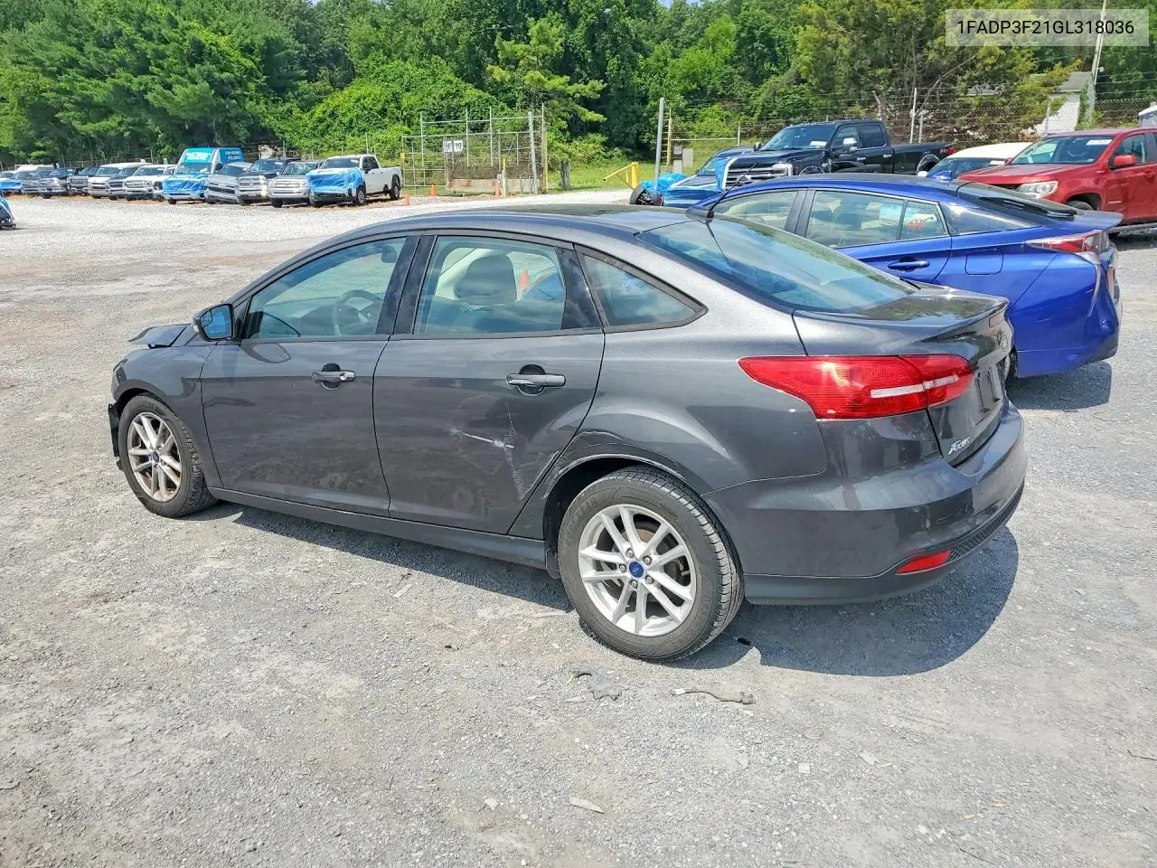 2016 Ford Focus Se VIN: 1FADP3F21GL318036 Lot: 61846116