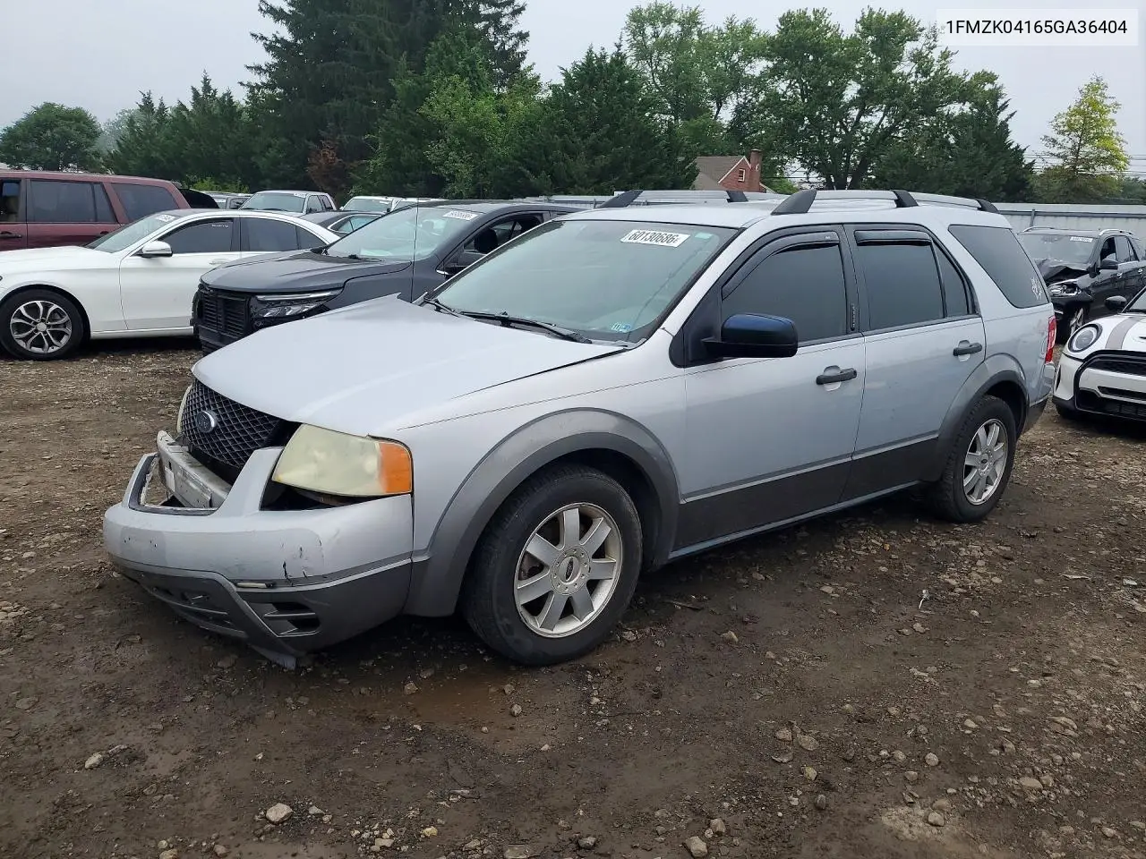 2005 Ford Freestyle Se VIN: 1FMZK04165GA36404 Lot: 60130686
