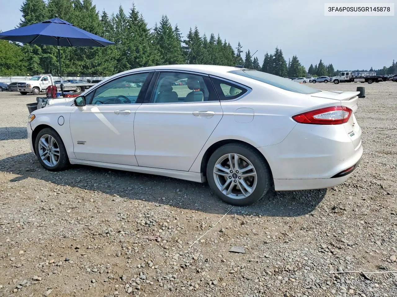 2016 Ford Fusion Titanium Phev VIN: 3FA6P0SU5GR145878 Lot: 61751636