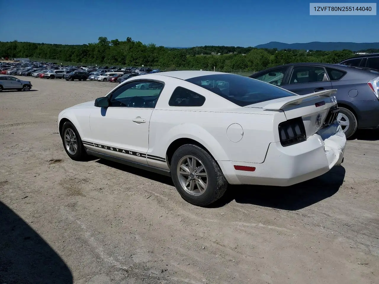 Mustang