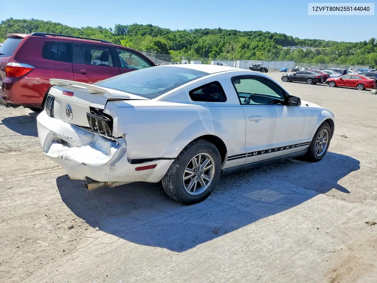Mustang