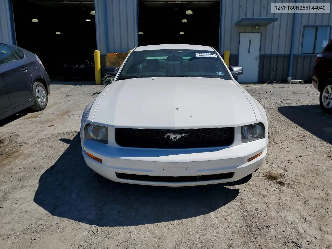 Mustang