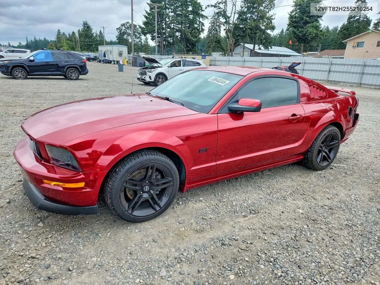 1ZVFT82H255210254 2005 Ford Mustang Gt