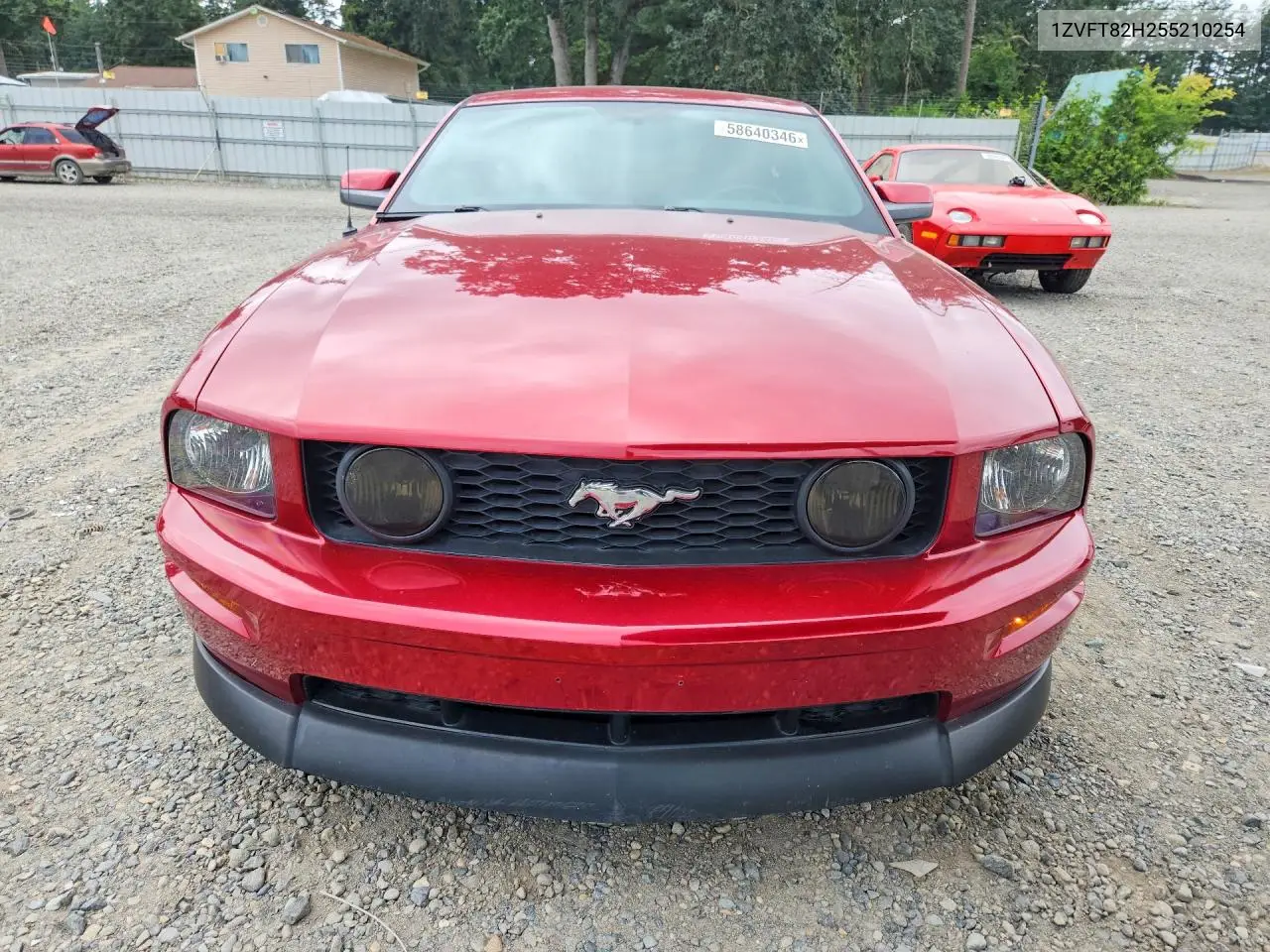 1ZVFT82H255210254 2005 Ford Mustang Gt