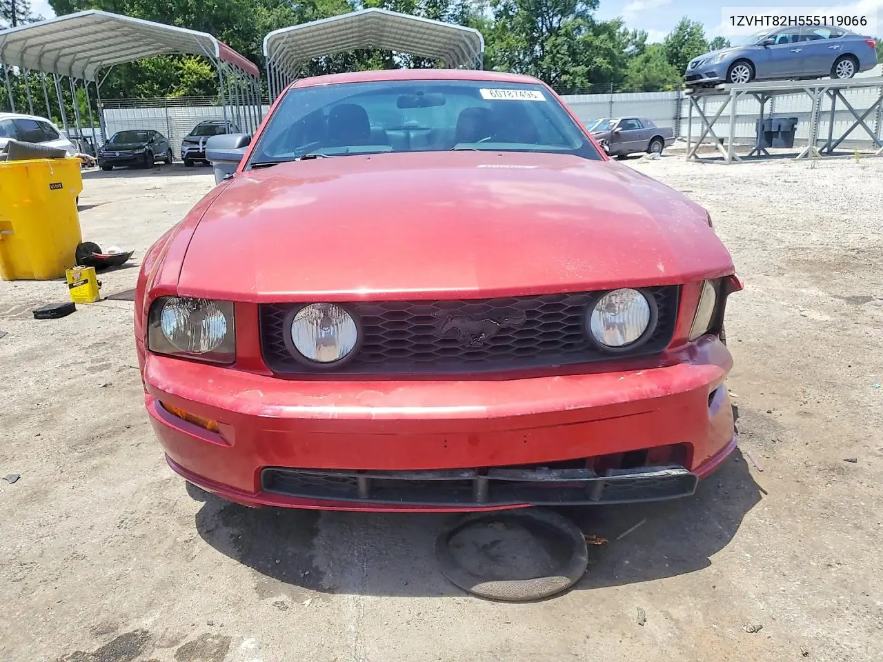2005 Ford Mustang Gt VIN: 1ZVHT82H555119066 Lot: 60787496
