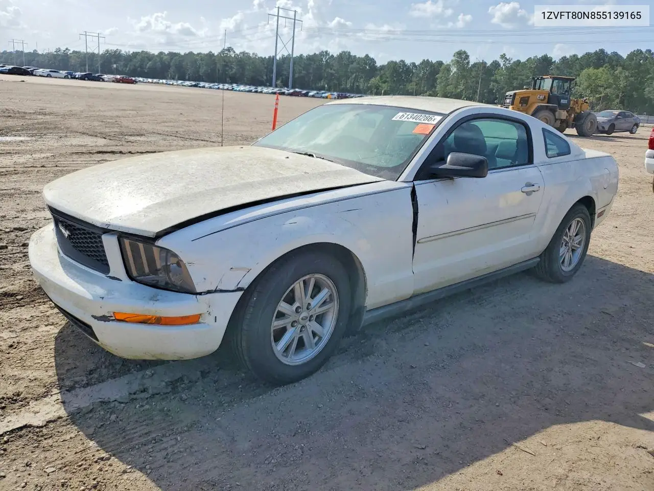 2005 Ford Mustang VIN: 1ZVFT80N855139165 Lot: 61340286