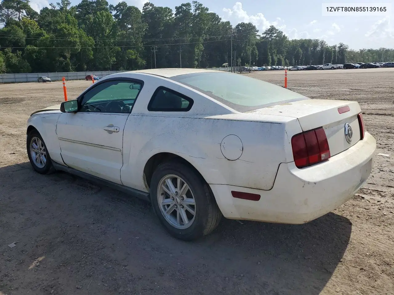 2005 Ford Mustang VIN: 1ZVFT80N855139165 Lot: 61340286