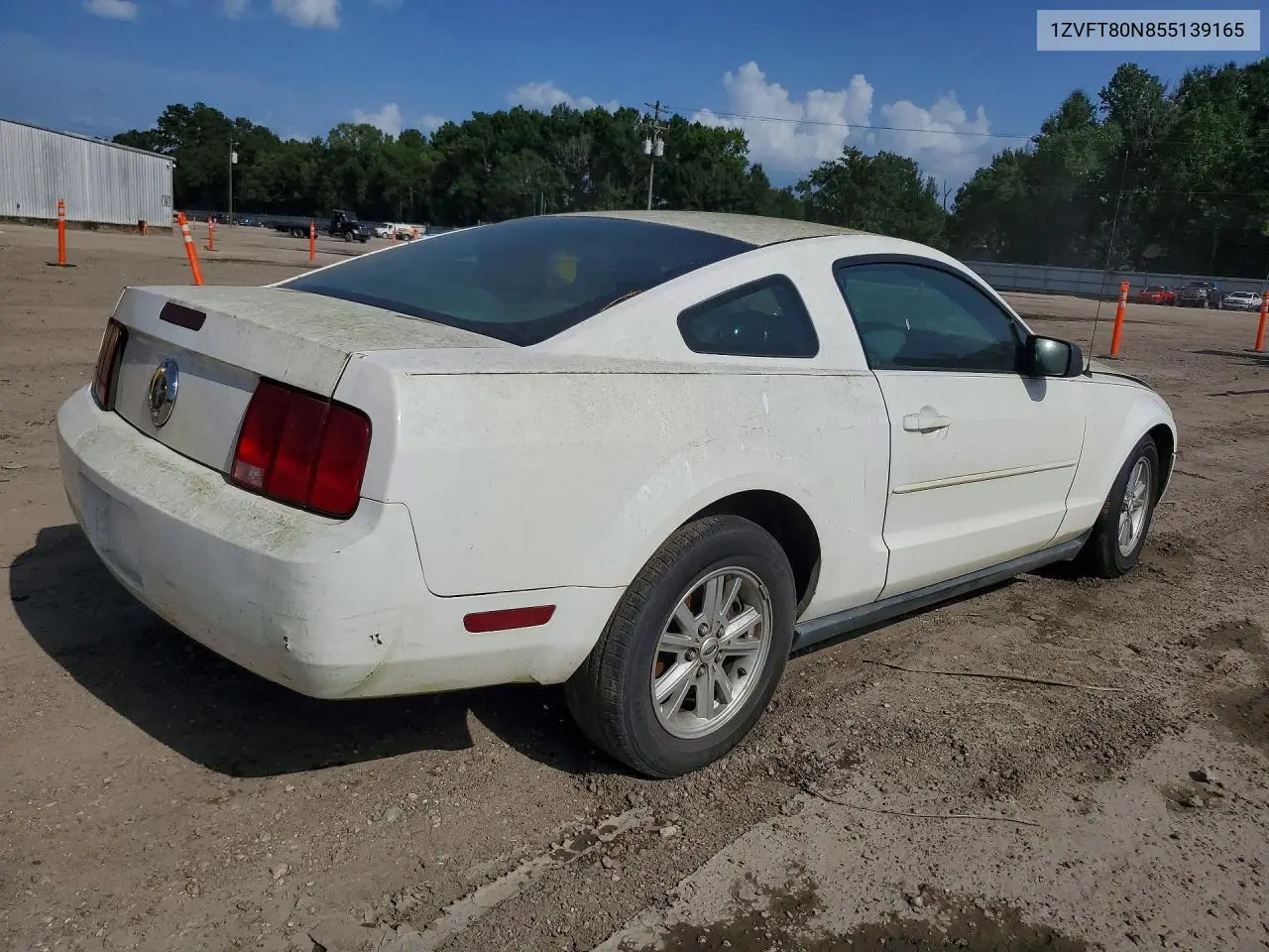 2005 Ford Mustang VIN: 1ZVFT80N855139165 Lot: 61340286
