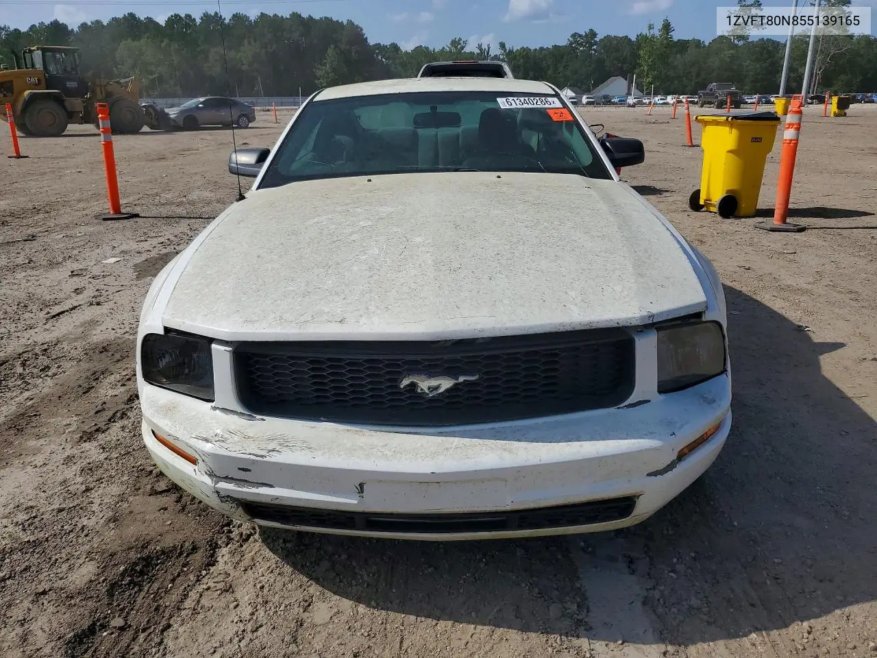 2005 Ford Mustang VIN: 1ZVFT80N855139165 Lot: 61340286