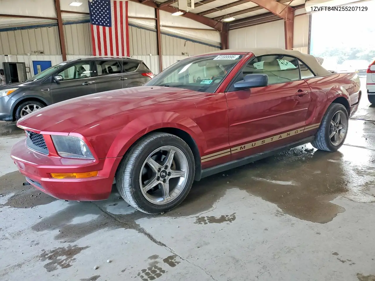 2005 Ford Mustang VIN: 1ZVFT84N255207129 Lot: 61599996