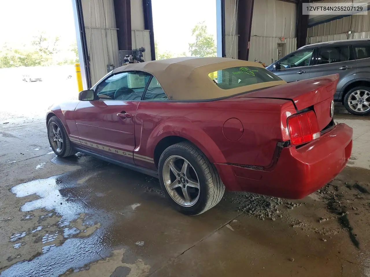2005 Ford Mustang VIN: 1ZVFT84N255207129 Lot: 61599996