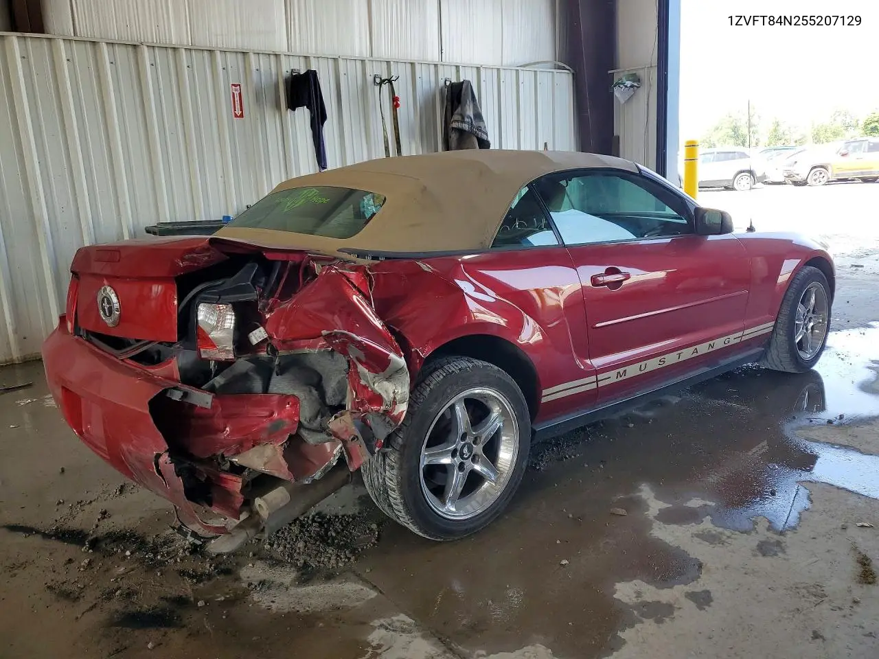 2005 Ford Mustang VIN: 1ZVFT84N255207129 Lot: 61599996