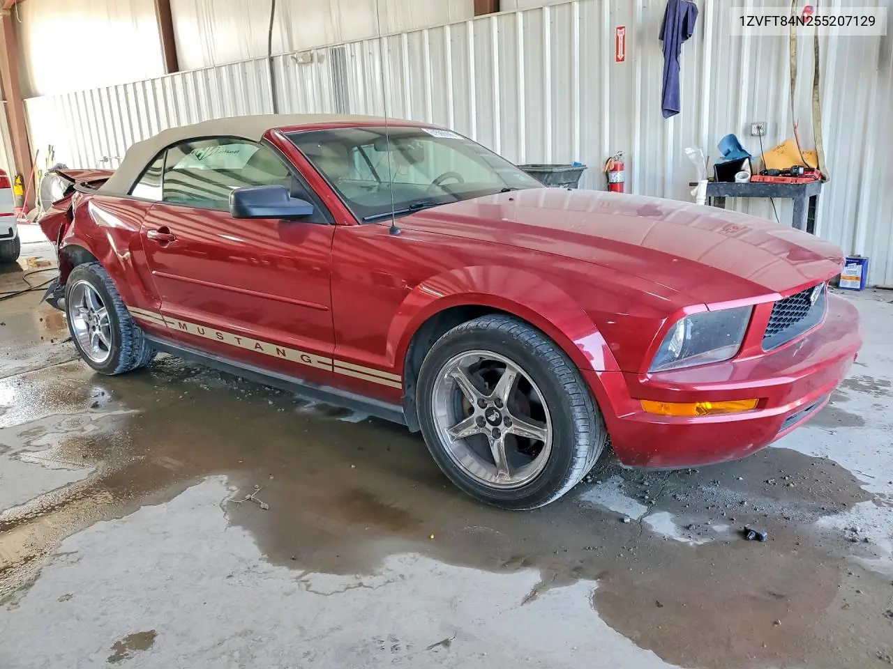 2005 Ford Mustang VIN: 1ZVFT84N255207129 Lot: 61599996