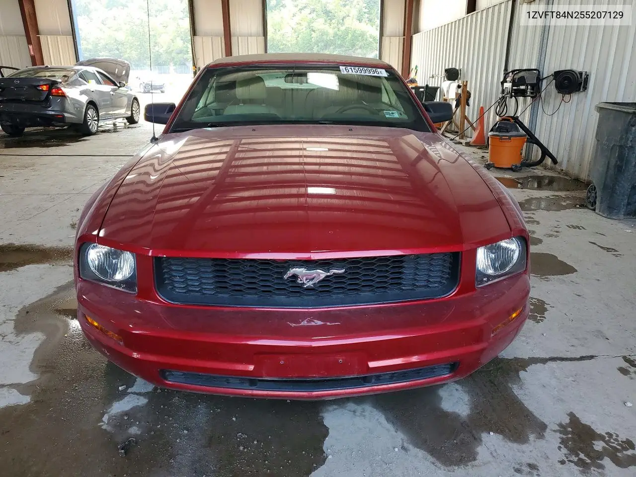 2005 Ford Mustang VIN: 1ZVFT84N255207129 Lot: 61599996