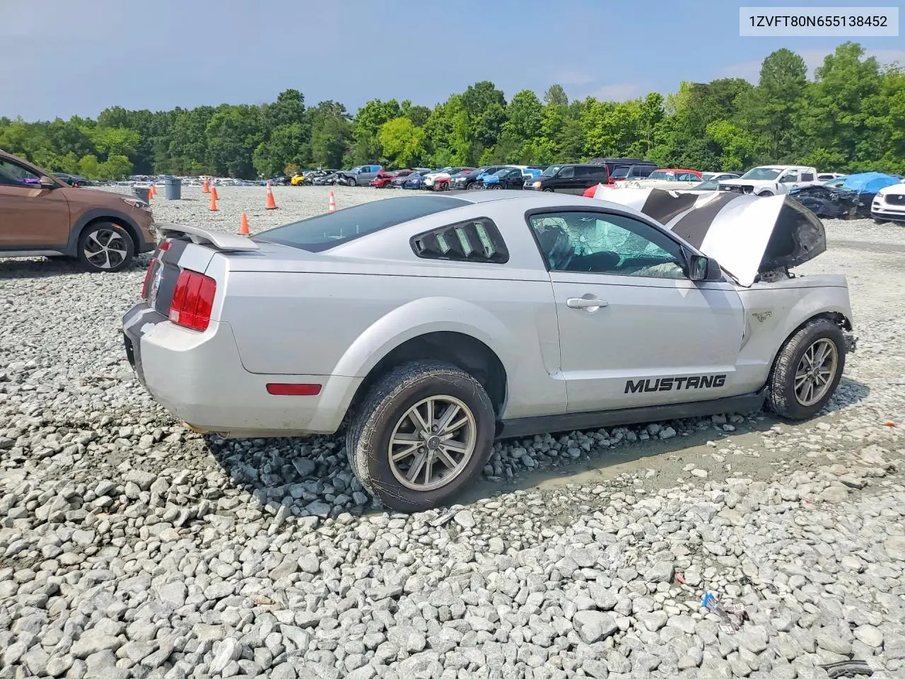 2005 Ford Mustang VIN: 1ZVFT80N655138452 Lot: 61848786