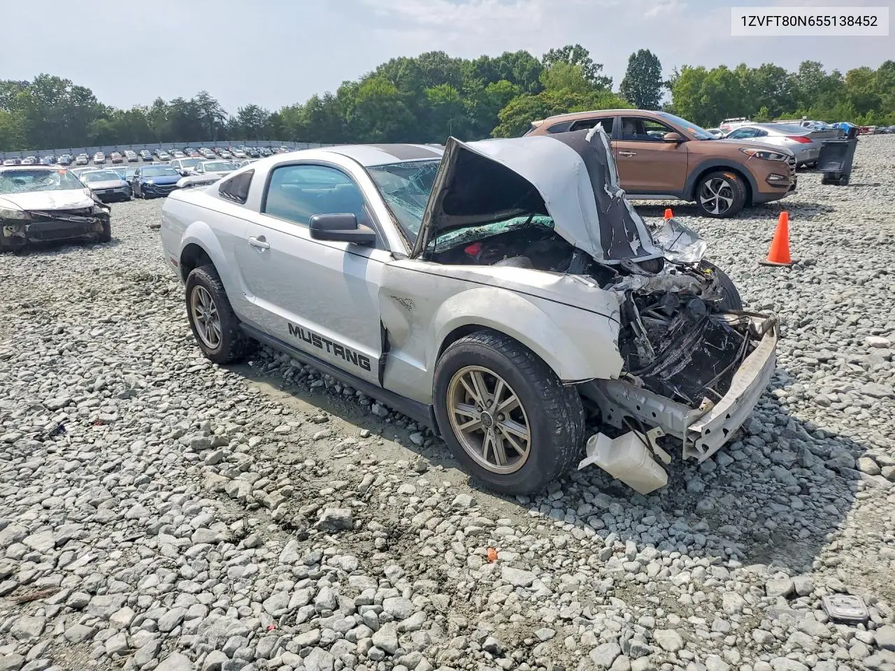 2005 Ford Mustang VIN: 1ZVFT80N655138452 Lot: 61848786