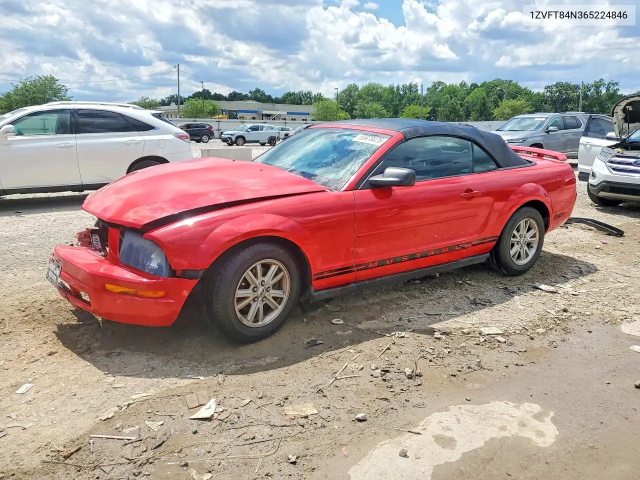 2006 Ford Mustang VIN: 1ZVFT84N365224846 Lot: 55979476