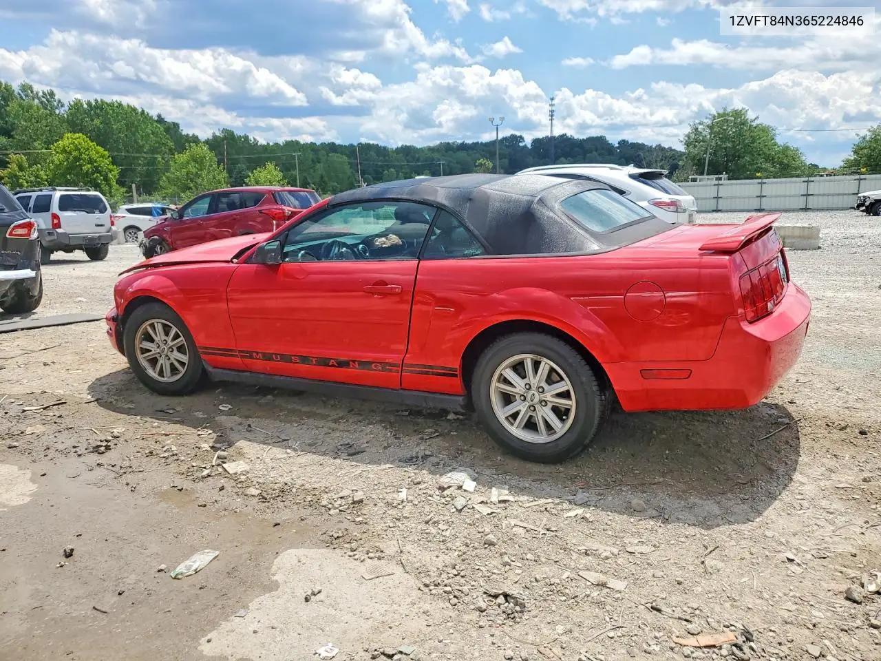 2006 Ford Mustang VIN: 1ZVFT84N365224846 Lot: 55979476