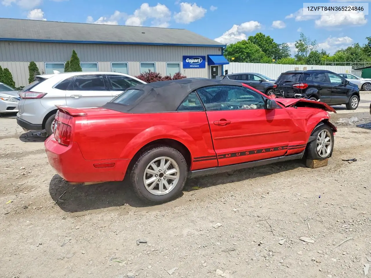 2006 Ford Mustang VIN: 1ZVFT84N365224846 Lot: 55979476