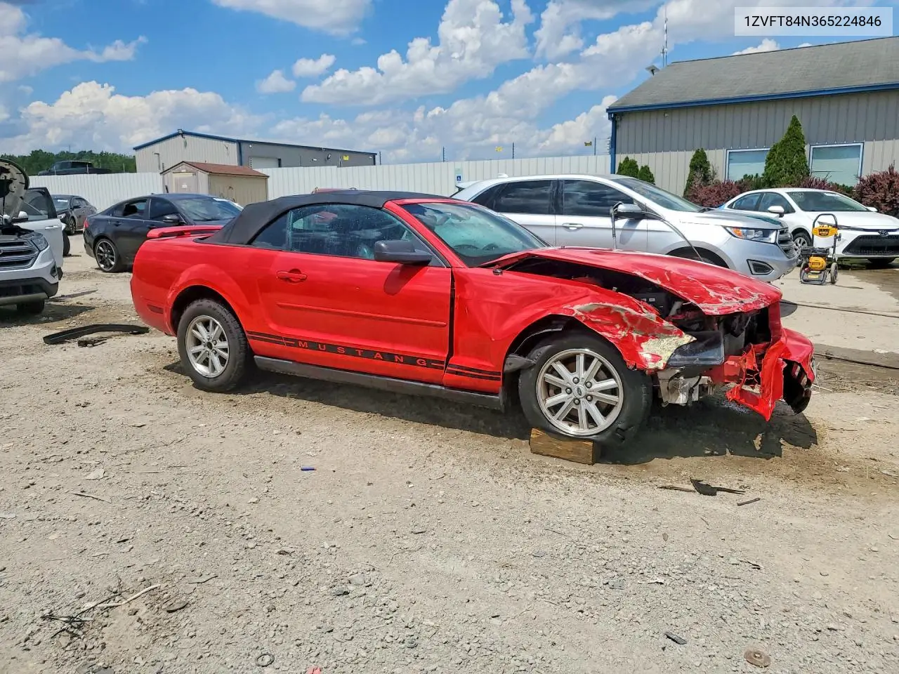 2006 Ford Mustang VIN: 1ZVFT84N365224846 Lot: 55979476