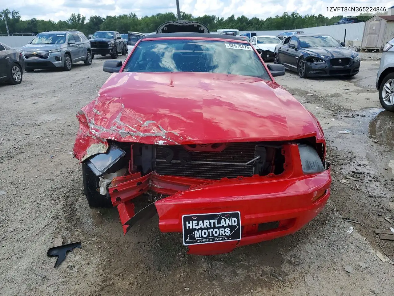 2006 Ford Mustang VIN: 1ZVFT84N365224846 Lot: 55979476