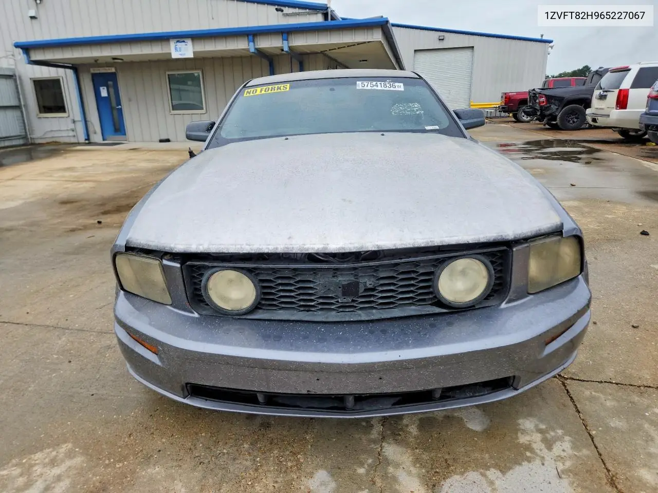1ZVFT82H965227067 2006 Ford Mustang Gt