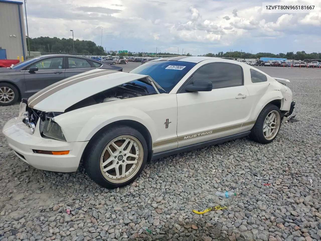 2006 Ford Mustang VIN: 1ZVFT80N965181667 Lot: 57573656