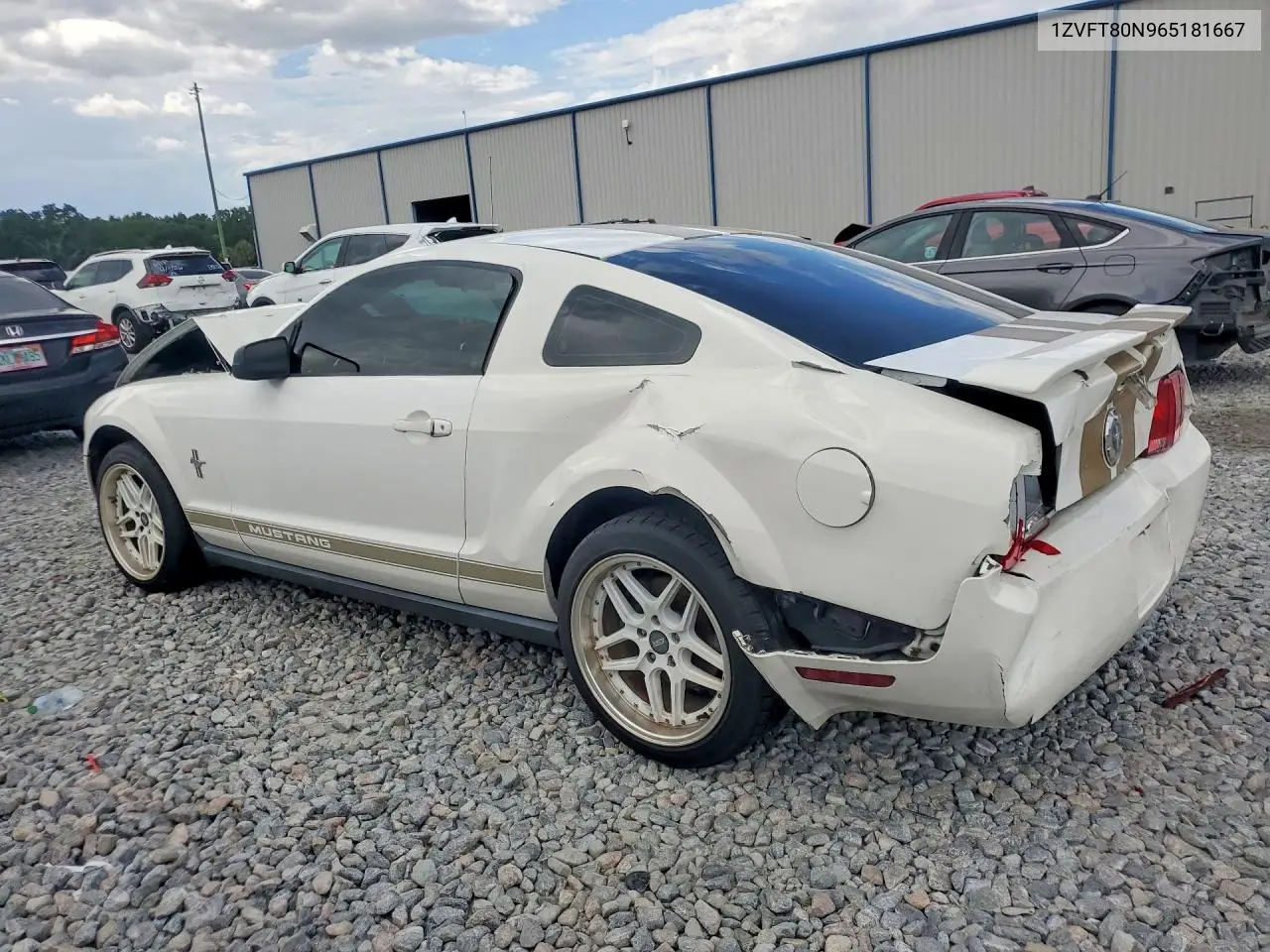 2006 Ford Mustang VIN: 1ZVFT80N965181667 Lot: 57573656