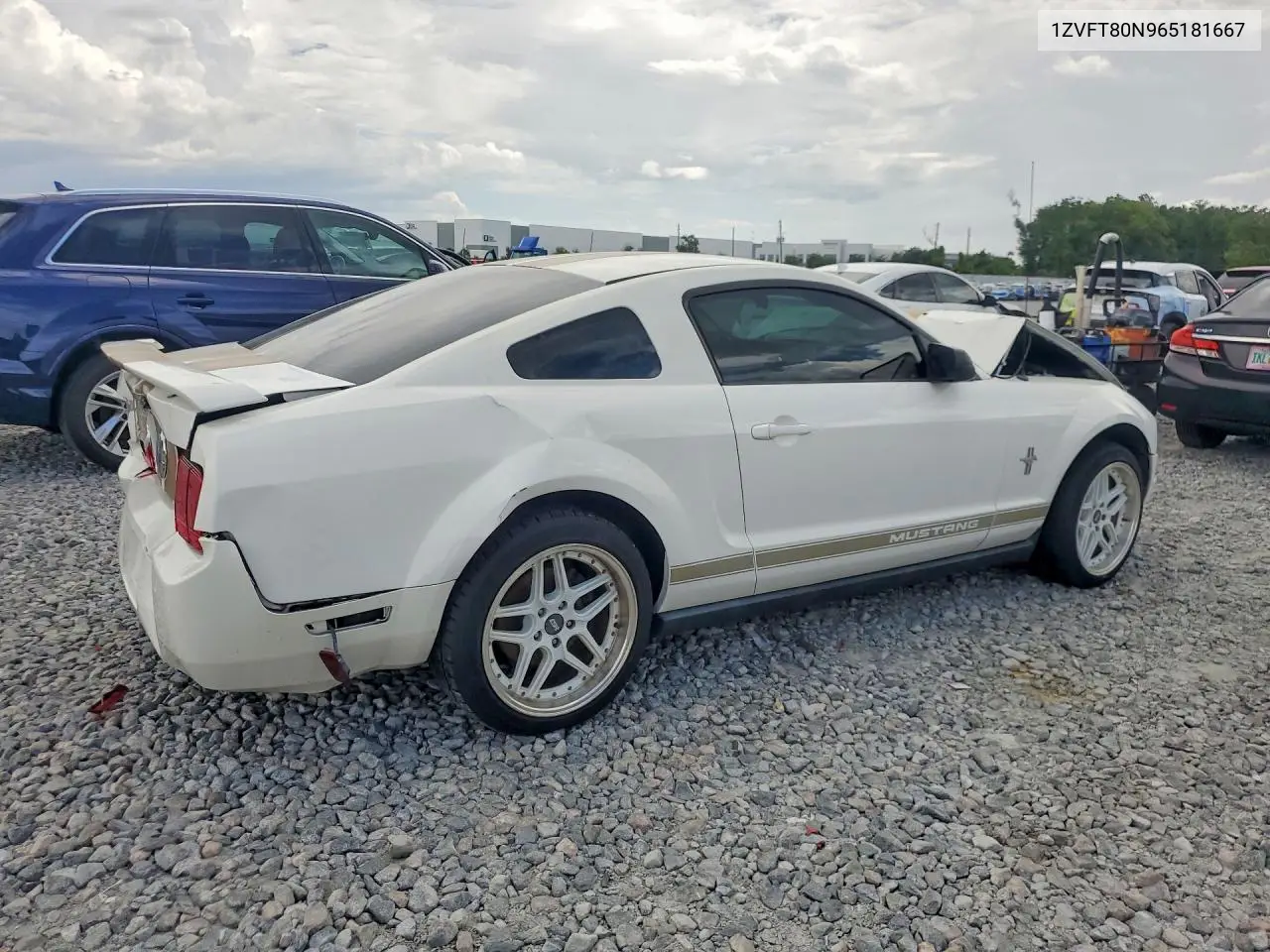 2006 Ford Mustang VIN: 1ZVFT80N965181667 Lot: 57573656