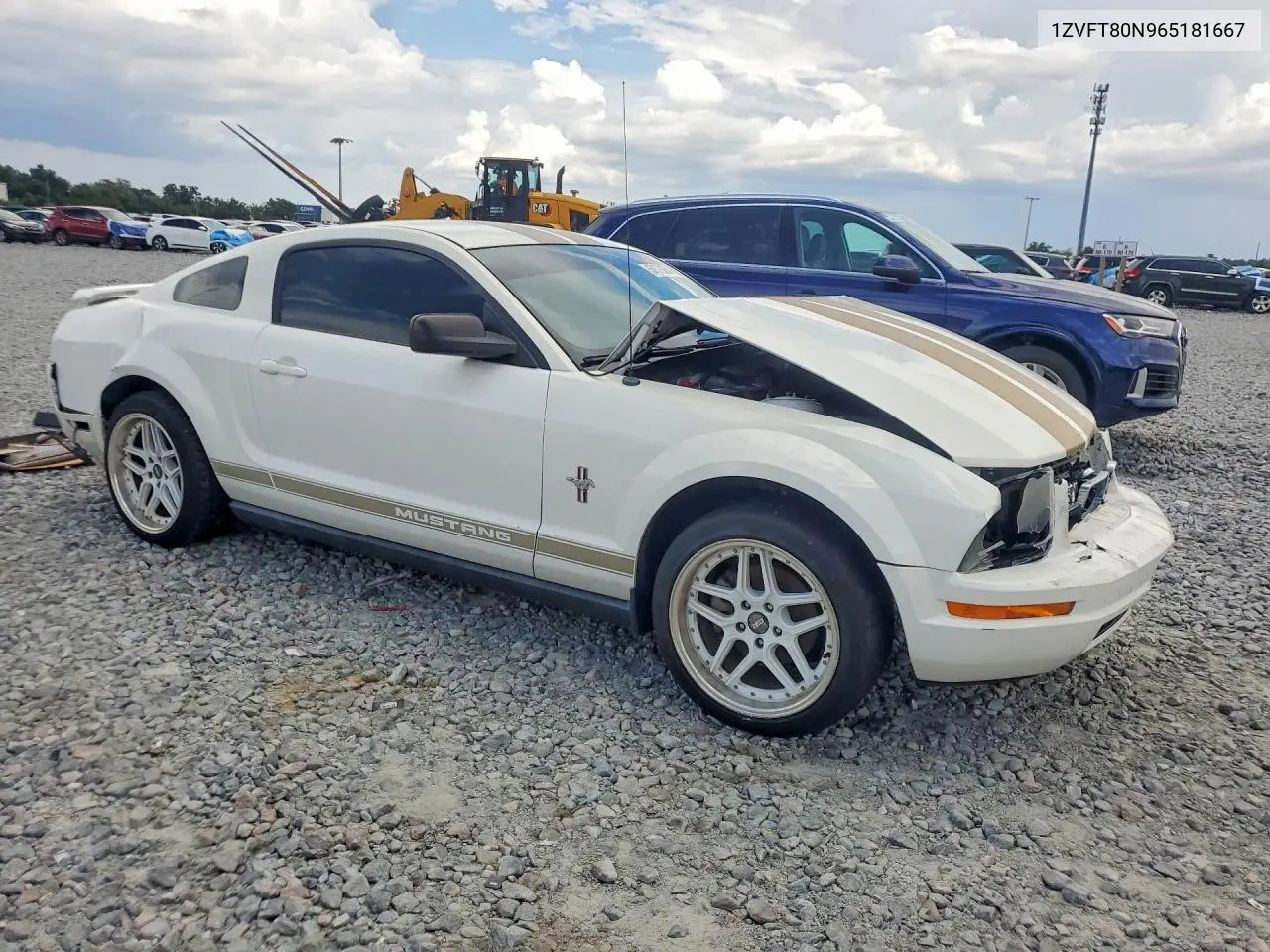2006 Ford Mustang VIN: 1ZVFT80N965181667 Lot: 57573656
