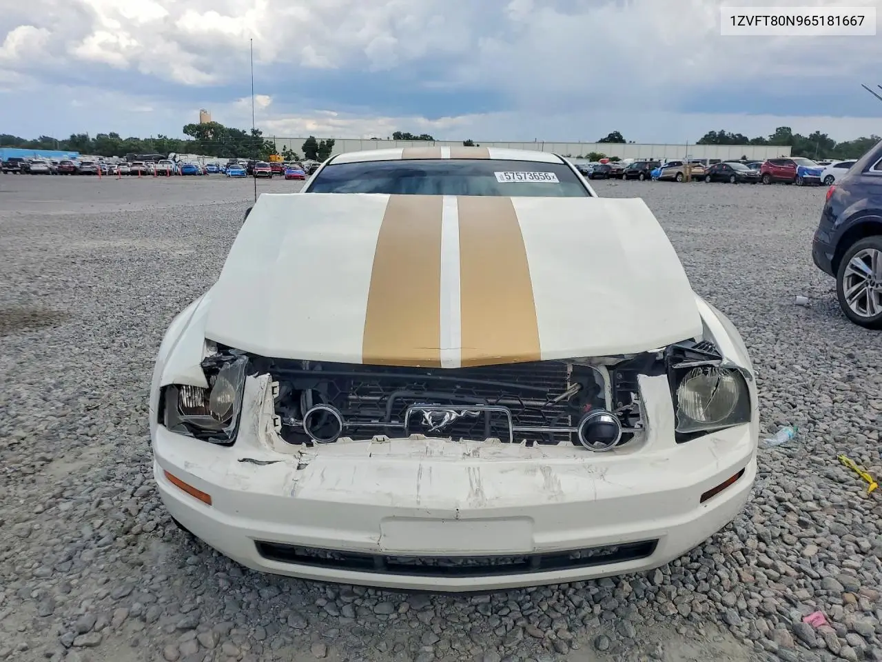 2006 Ford Mustang VIN: 1ZVFT80N965181667 Lot: 57573656
