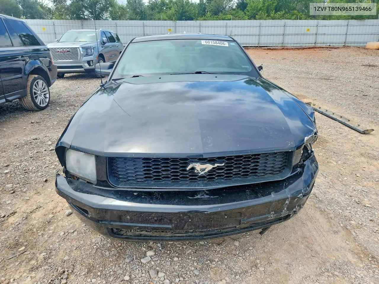 2006 Ford Mustang VIN: 1ZVFT80N965139466 Lot: 60158406