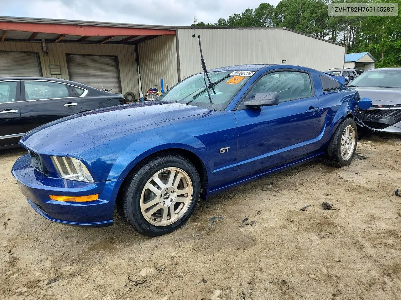 2006 Ford Mustang Gt VIN: 1ZVHT82H765165287 Lot: 60306416