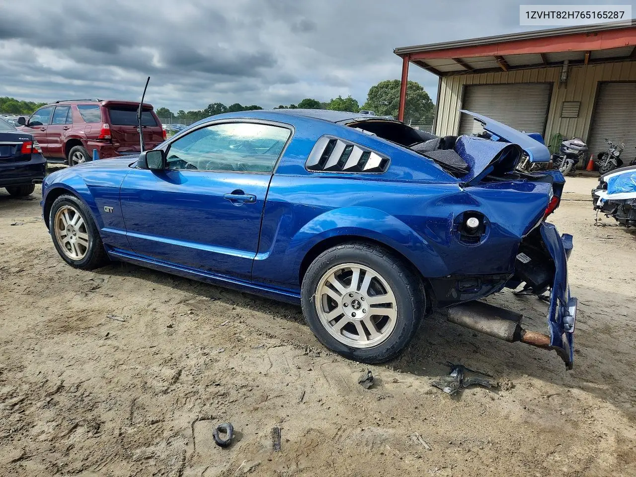 2006 Ford Mustang Gt VIN: 1ZVHT82H765165287 Lot: 60306416