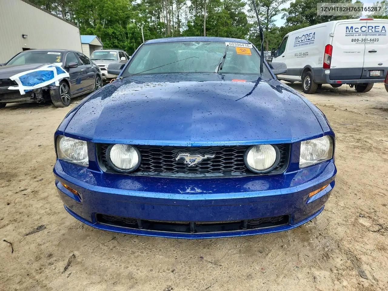 2006 Ford Mustang Gt VIN: 1ZVHT82H765165287 Lot: 60306416