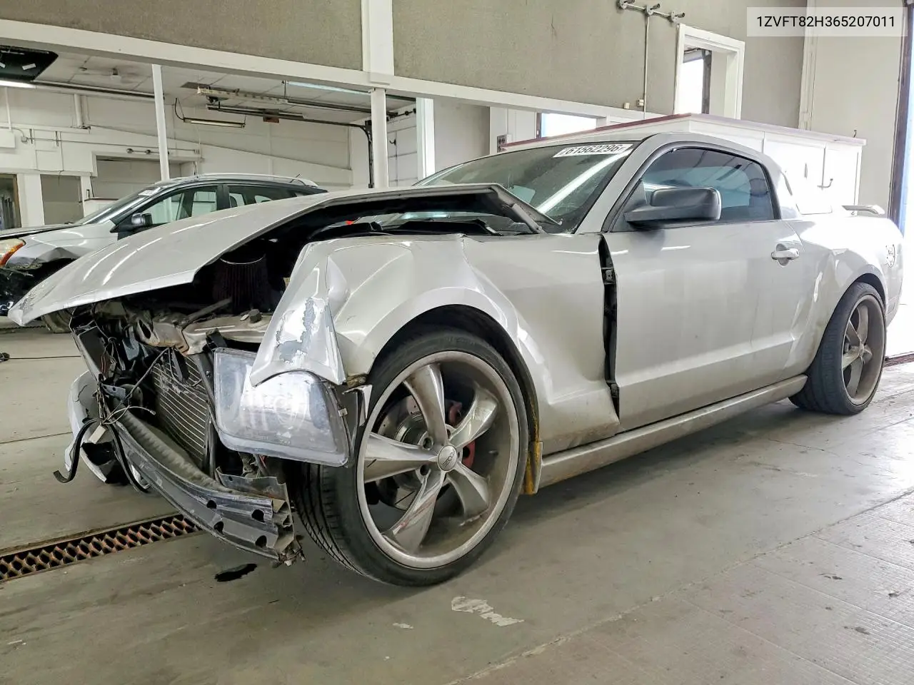 2006 Ford Mustang Gt VIN: 1ZVFT82H365207011 Lot: 61562296