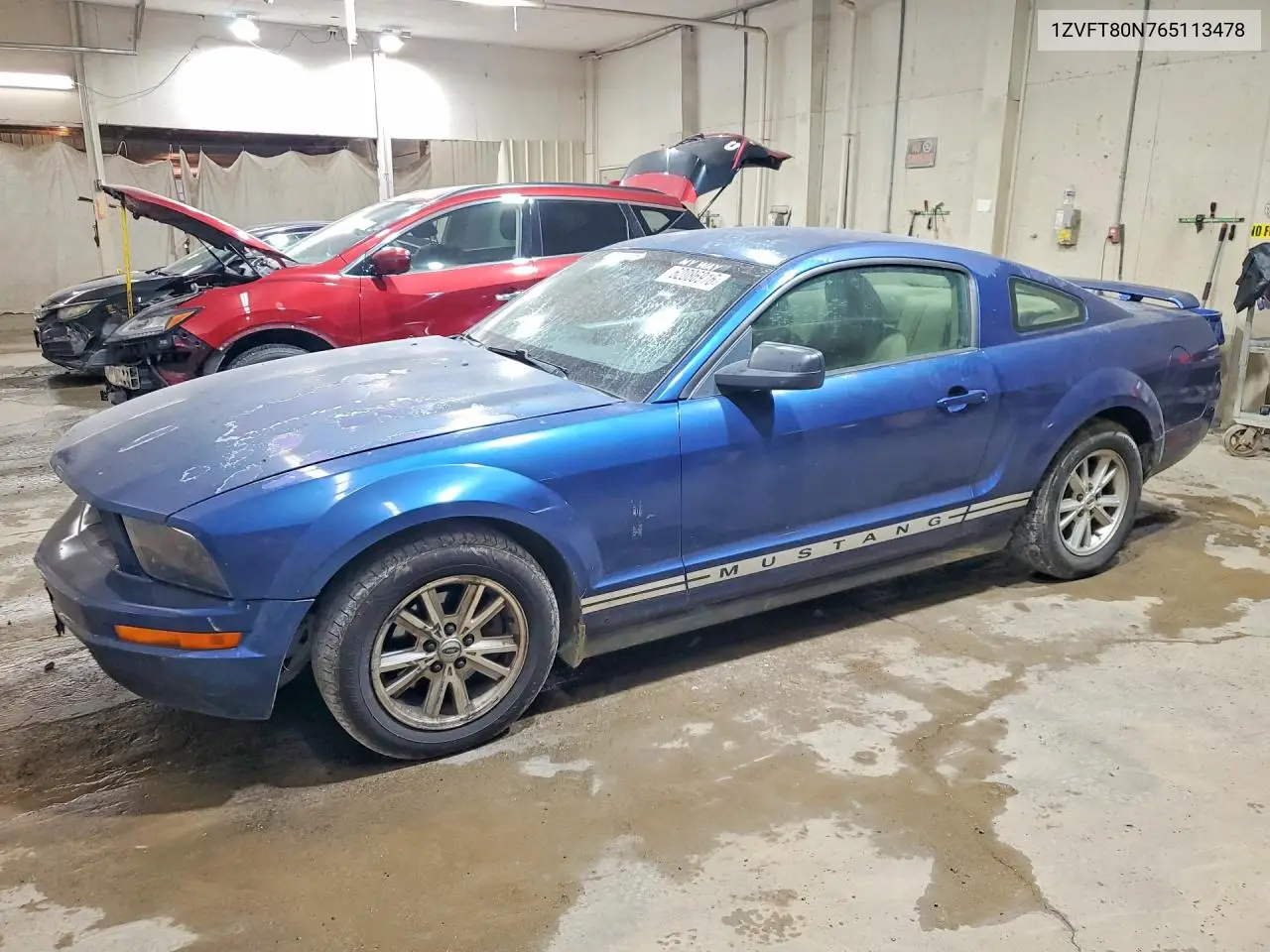 2006 Ford Mustang VIN: 1ZVFT80N765113478 Lot: 62086916